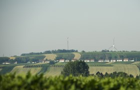 Kellergasse "Alte Geringen", © Michael Himml