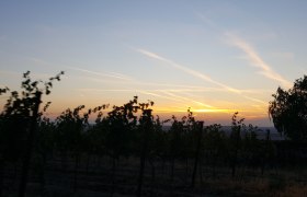 Ausblick auf den Sonnenuntergang von der Ried Boigenthalen, © Winzerfamilie Pfalz