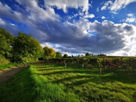 Das sanfthügelige Pulkautal im Spätsommer, © Weinstraße Weinviertel West