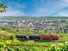 Reblaus Express mit Blick auf Retz, © Retzer Land / Mödl