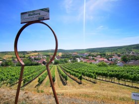 Das idyllische Mailberg liegt in einem Talkessel - Ausblick von der "Hundschupfen", © Weinstraße Weinviertel West