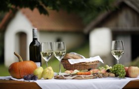 Weinviertel wine autumn, © Weinviertel Tourismus / Christine Wurnig