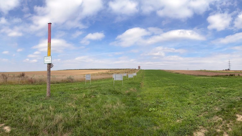 Blick auf die Fundstelle von Roseldorf, © ARDIG