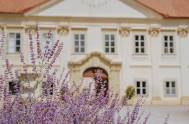 Schloss Marchegg, © Weinviertel Tourismus / nadinechristine__