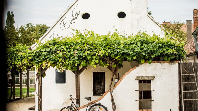 Typisch Weinviertel, © Niederösterreich Werbung/Michael Reidinger