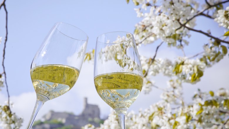 The joys of spring in the Weinviertel, © Weinstraßen Weinviertel