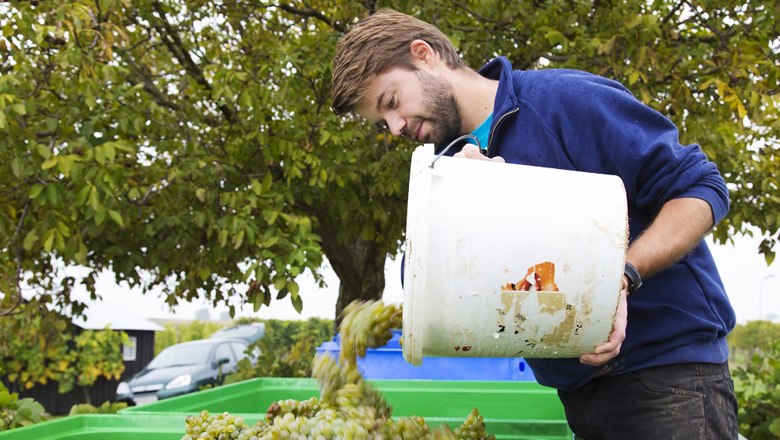 Winzer Alexander Waberer, © Weingut Waberer