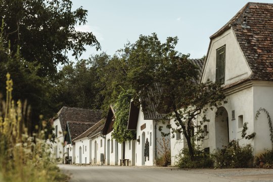 Charmante Kellergassen, © Weinviertel Tourismus / Michael Reidinger