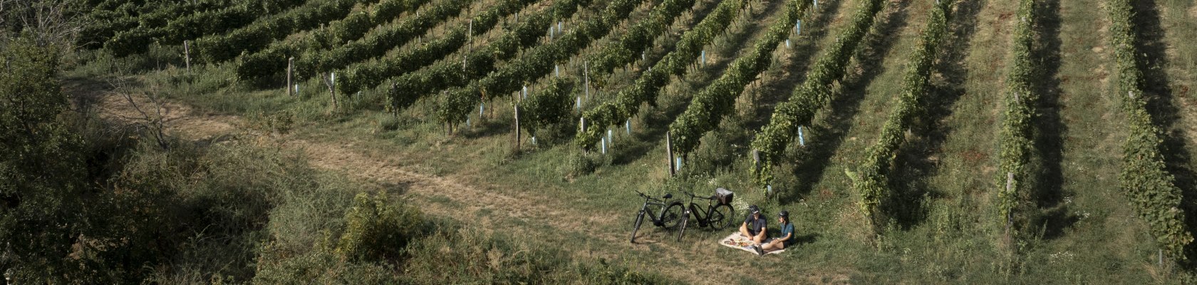 Radlerpicknick, © Weinviertel Tourismus / Markus Frühmann