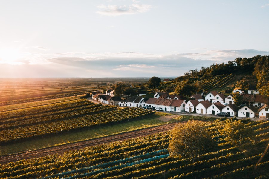 Kellergasse Galgenberg, Wildendürnbach, © Weinviertel Tourismus / Romeo Felsenreich