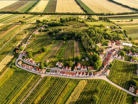 Kellergasse Galgenberg, © Robert Herbst / POV