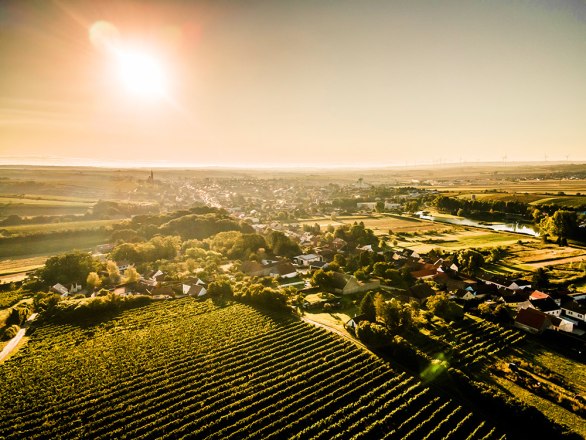 Die Weinstadt Poysdorf, © Robert Herbst / POV