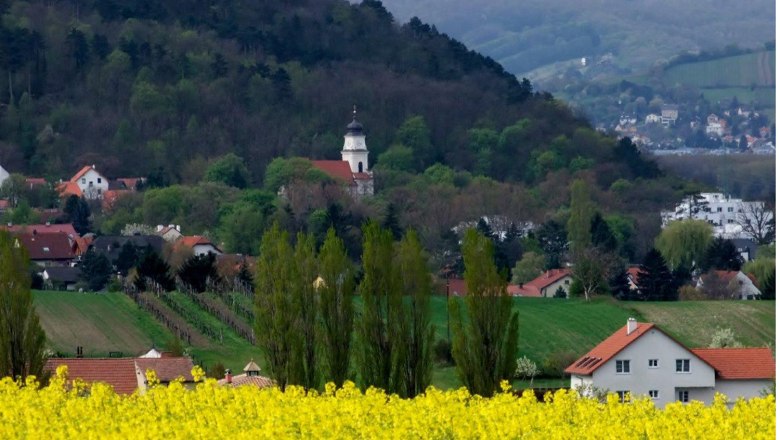 Bisamberg, © Gemeinde Bisamberg