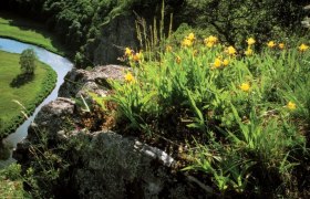 Thayatal National Park, © Prokupek