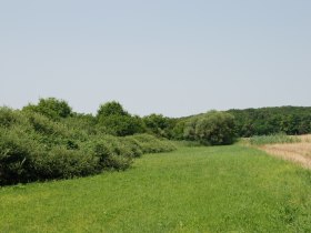 Biotop Obergrundwiese, © Karl Stubenvoll