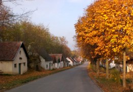 Kellergasse in Asparn an der Zaya, © Gemeinde Asparn