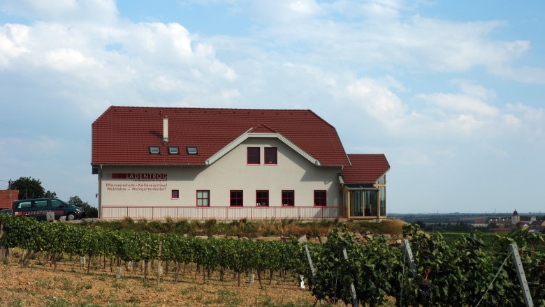 Weingut Ladentrog, © Weingut Ladentrog