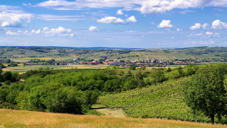 Blick über Alberndorf, © Gemeinde Alberndorf