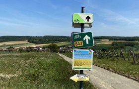 Schöner Ausblick am Radweg bei Oberthern, © Weinstraße Weinviertel