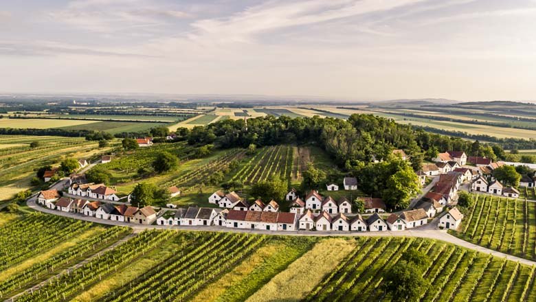 Kellergasse Galgenberg in Wildendürnbach, © Weinstraße Weinviertel / Robert Herbst