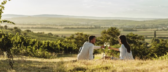 Picknick im Weinviertel, © Weinviertel Tourismus / Michael Reidinger