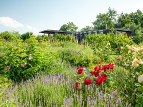 Start und Ziel ist das Nationalparkzentrum Hardegg, © Retzer Land / Die Reisereporter