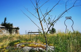 Schlüsselerlebnis in Straning, © Weinstraße Weinviertel