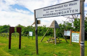 Ehret den Sock-Wanderweg, © Irene Tagwerker