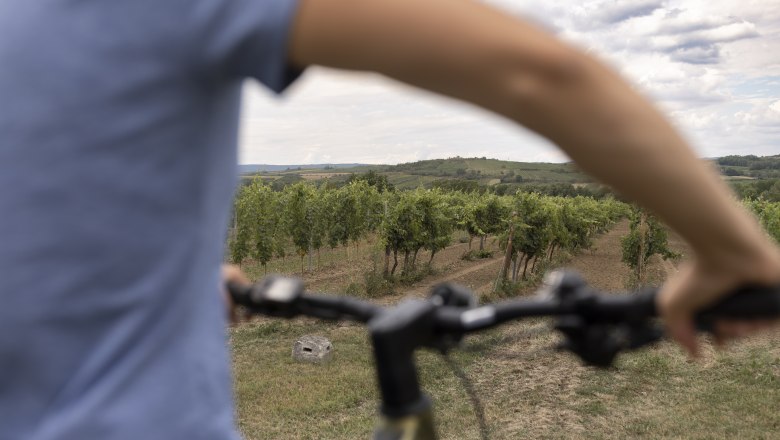 Radfahren am Iron Curtain Trail, © Weinviertel Tourismus / Markus Frühmann