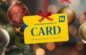 Weihnachtsaktion: Niederösterreich-Card, © Niederösterreich-CARD