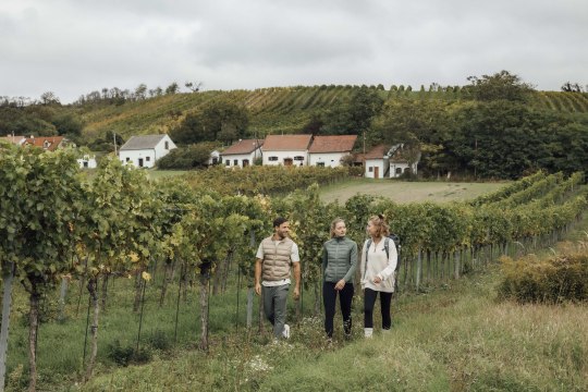 Das Weinviertel erwandern und erpilgern, © Weinviertel Tourismus / Sophie Menegaldo