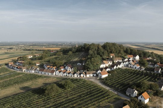 Weinviertler Kellergassen, © Weinviertel Tourismus / Markus Frühmann