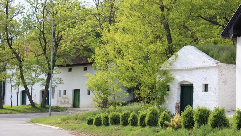 Kellerberg Großkrut, © Weinviertel Tourismus