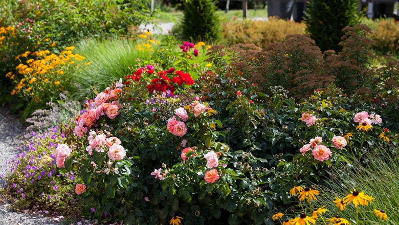 Blumen im Schlosspark Eckartsau, © ÖBfArchiv-Panzer