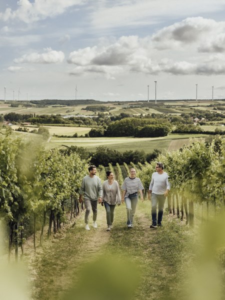 In die Grean gehen, © Weinviertel Tourismus / Sophie Menegaldo