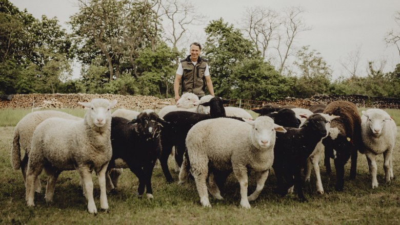 Wirtshaus mit Landwirtschaft von Gemüse, Rind und Schaf, © Niederösterreich Werbung/Sophie Menegaldo