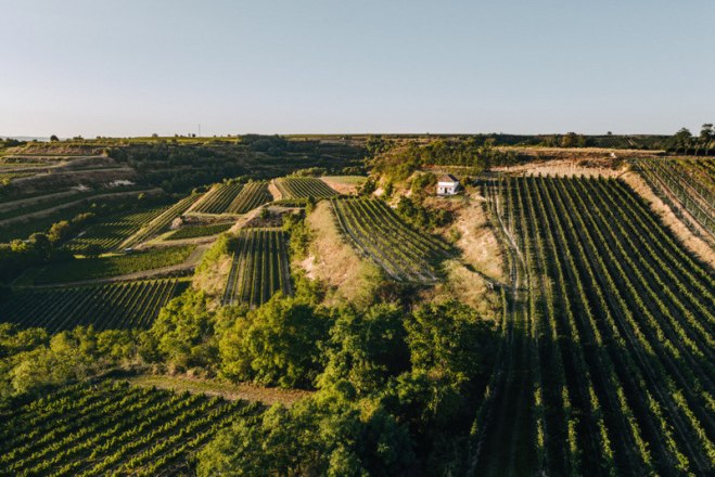 Ausblick vom Kellerstöckl - Weingut Norbert Bauer, © Martin Mattes