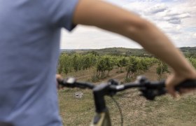 Radfahren am Iron Curtain Trail, © Weinviertel Tourismus / Markus Frühmann