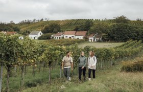 Dem Wein auf der Spur, © Weinviertel Tourismus / Sophie Menegaldo