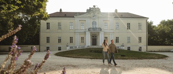 Liechtenstein Schloss Wilfersdorf, © Weinviertel Tourismus / Michael Reidinger