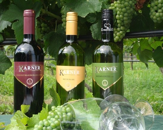 Weingut Karner, © Weingut Karner