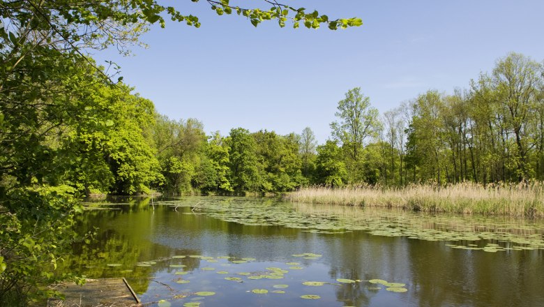 Beidesee, © Gemeinde Drösing