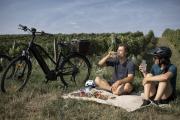 Weinviertler Radlerpicknick, © Weinviertel Tourismus / Markus Frühmann