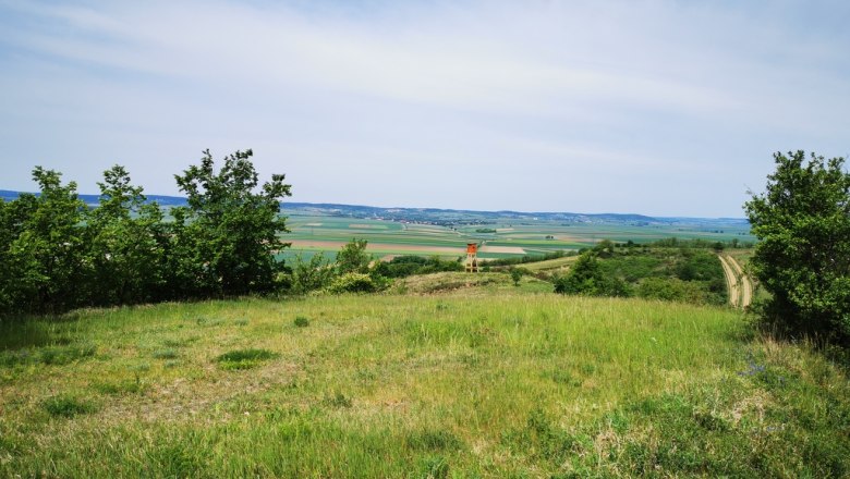 Reithe Frauendorf, © Weinstraße Weinviertel