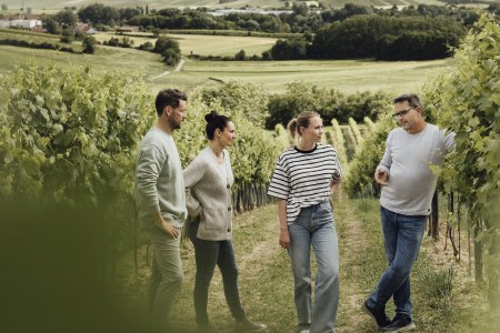 In die Grean gehen, © Weinviertel Tourismus / Sophie Menegaldo