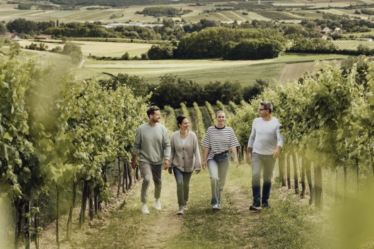 In die Grean gehen, © Weinviertel Tourismus / Sophie Menegaldo