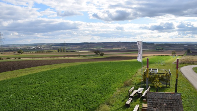 Blick auf das Areal der Fundstelle, © ARDIG