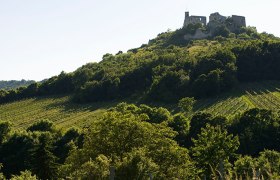 Burgruine Falkenstein, © Veltliner Land / Michael Himml