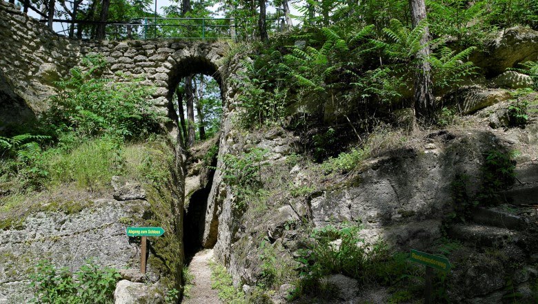 Schlosspark Nexing, © Natur im Garten/Alexander Haiden