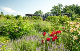 Start und Ziel ist das Nationalparkzentrum Hardegg, © Retzer Land / Die Reisereporter